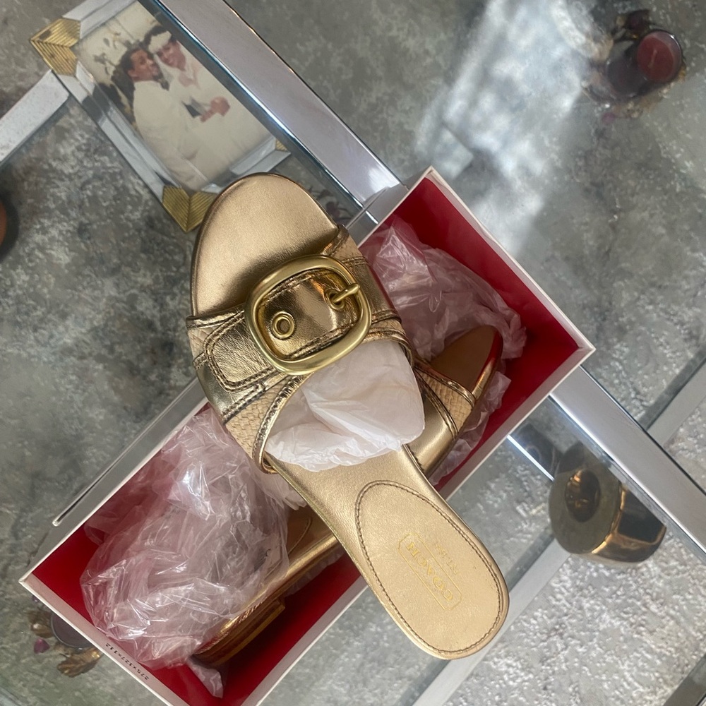 Coach Rubey Metallic Gold Raffia Slide Sandals
